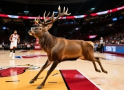 雄鹿轻取热火打进东部半决赛