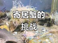 九游娱乐官方网站-河床队长激励全队，挑战强敌士气高昂