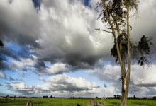 火箭新赛季首发预测，KD+范弗利特+阿门+史密斯+申京