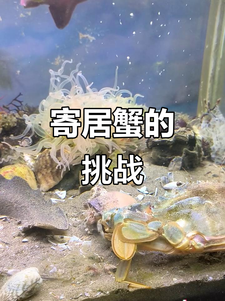 河床队长激励全队，挑战强敌士气高昂